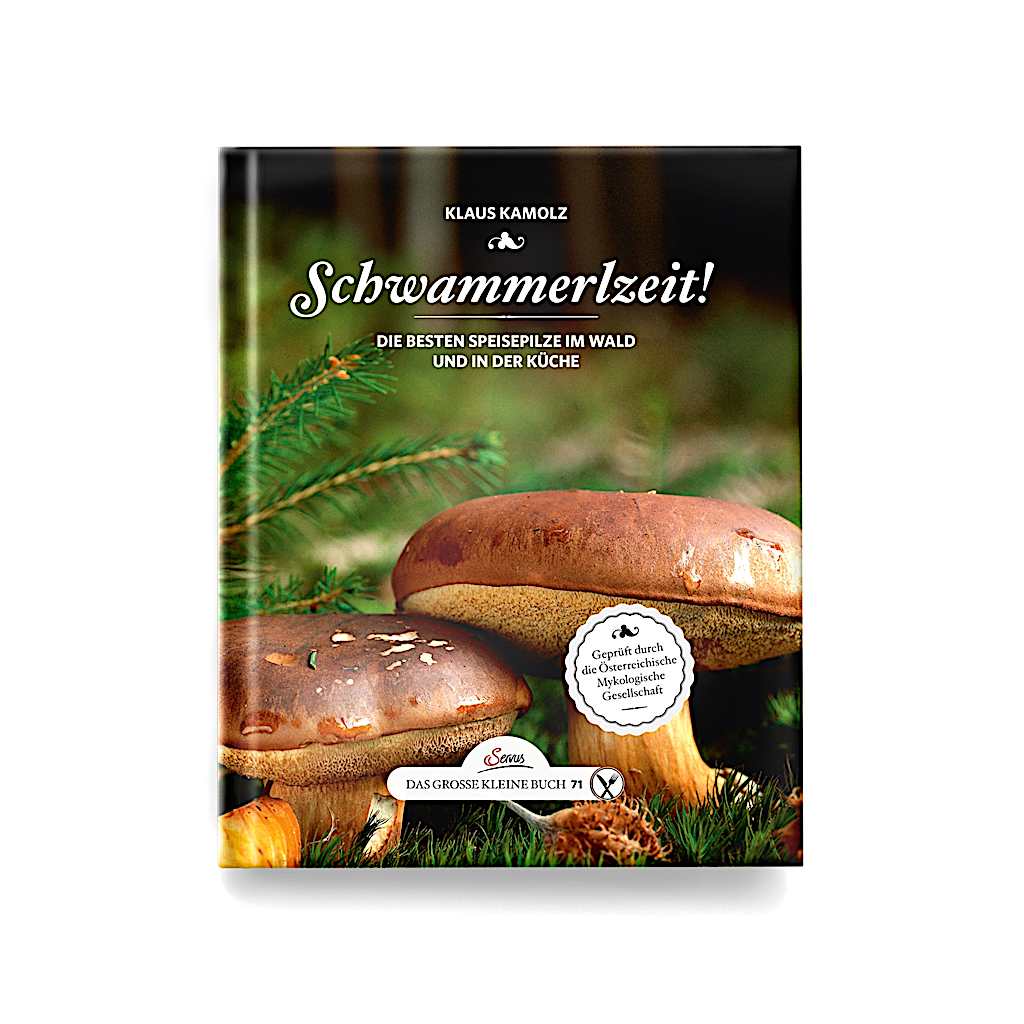 Schwammerlzeit