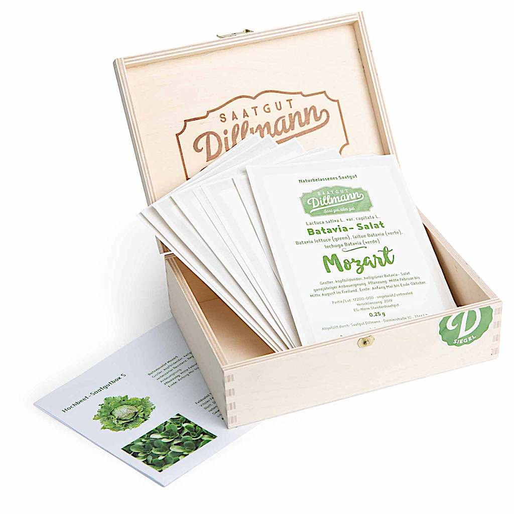 Saatgutbox Hochbeet