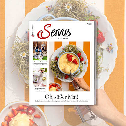 Servus Kurzabo