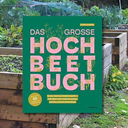 Das große Hochbeet-Buch