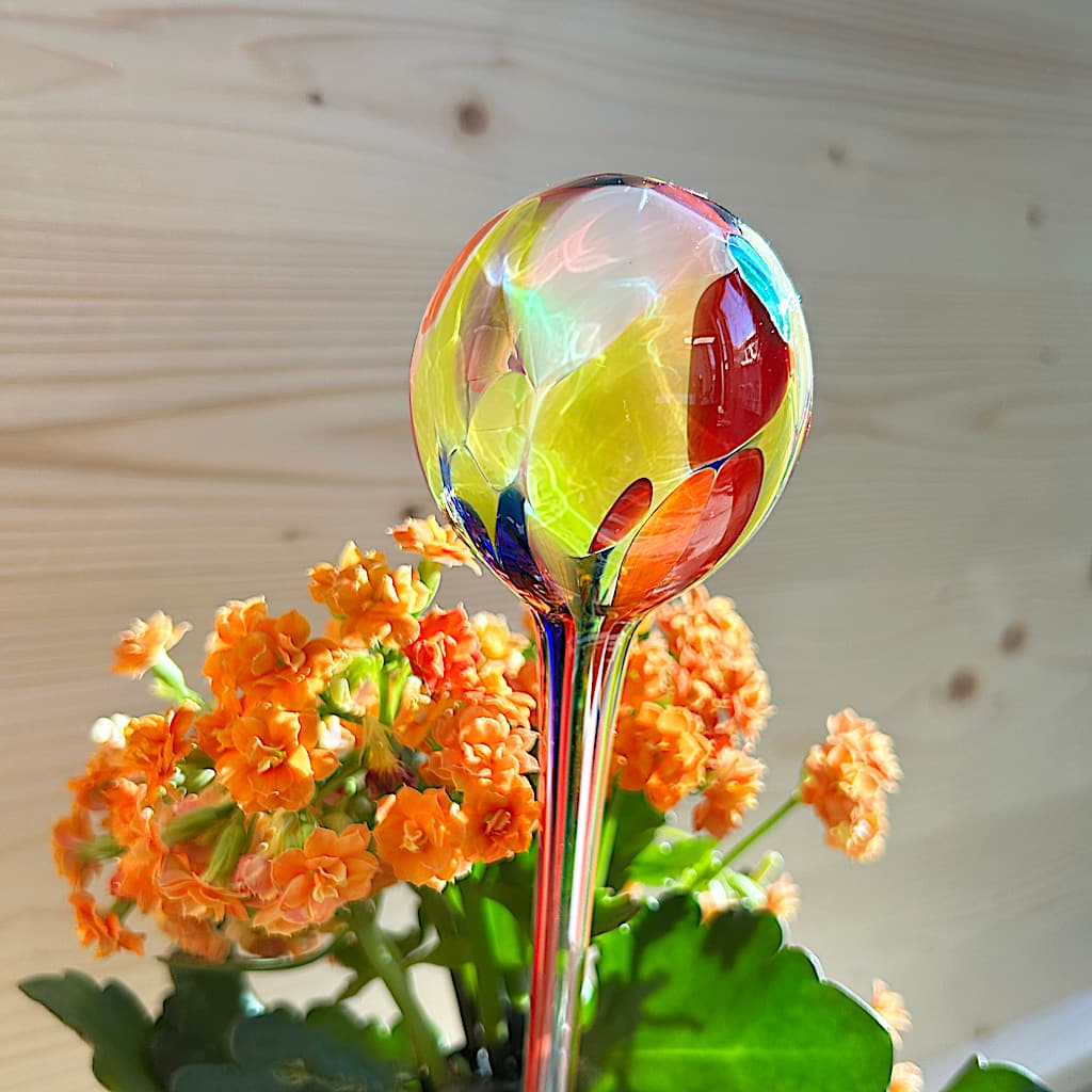 Wasserspender aus Glas Wasserspender aus Glas