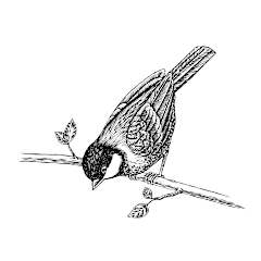 Die Kraft der Wurzeln