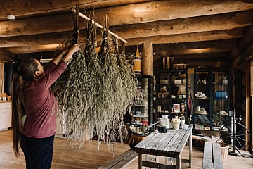 Räucherkegel Schwarzföhre