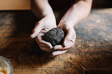 Räucherkegel Schwarzföhre