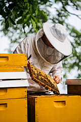 Kerzenfutter aus Bienenwachs