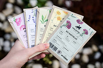 Lebendiger Blumenstrauß