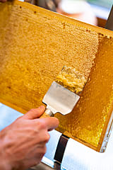 Hautpflege mit Bienenhonig