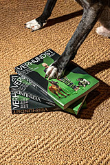 Buch: „Verhundst“ von Hundeflo Florian Günther