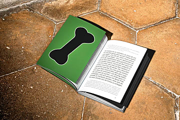 Buch: „Verhundst“ von Hundeflo Florian Günther
