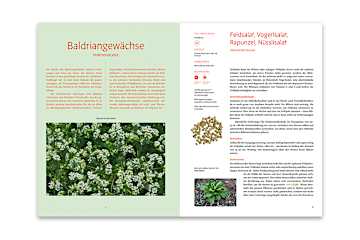 Handbuch Samengärtnerei