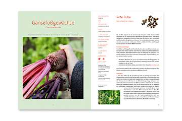 Handbuch Samengärtnerei