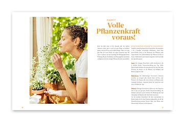 Fensterbrettgarten