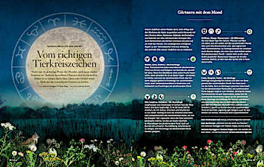 Servus unser Garten 2025