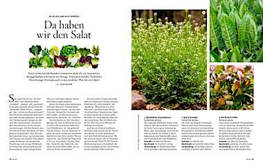 Servus unser Garten 2025