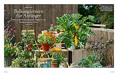 Servus unser Garten 2025