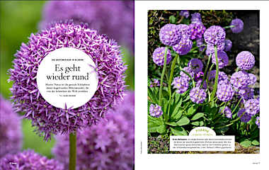 Servus unser Garten 2025