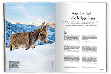 Servus Weihnachten