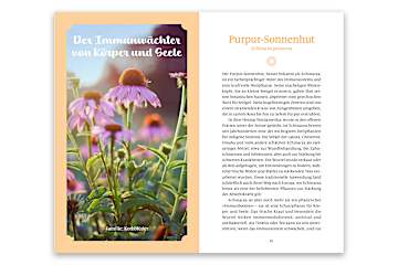 Sonnenkräuter für die Seele