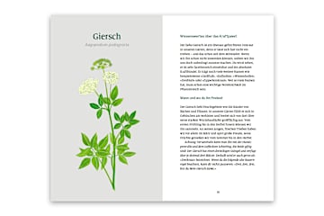 Köstliches Unkraut
