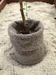 Pflanzsack aus Schafswolle