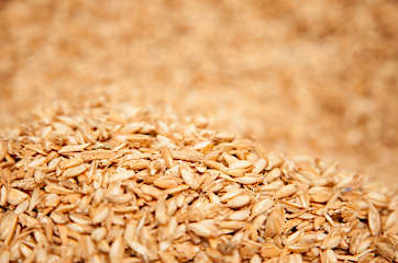 Herzkissen mit Dinkel-Bergkräuterfüllung